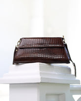 جاذبية - بني