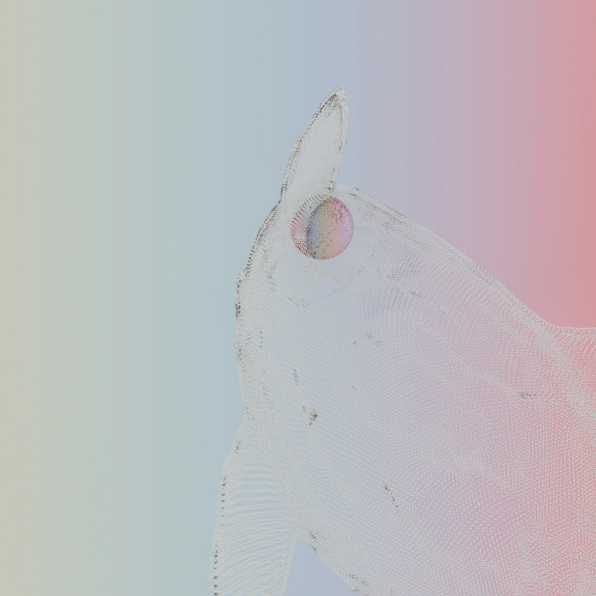 a close up of a horse's head on a colored background