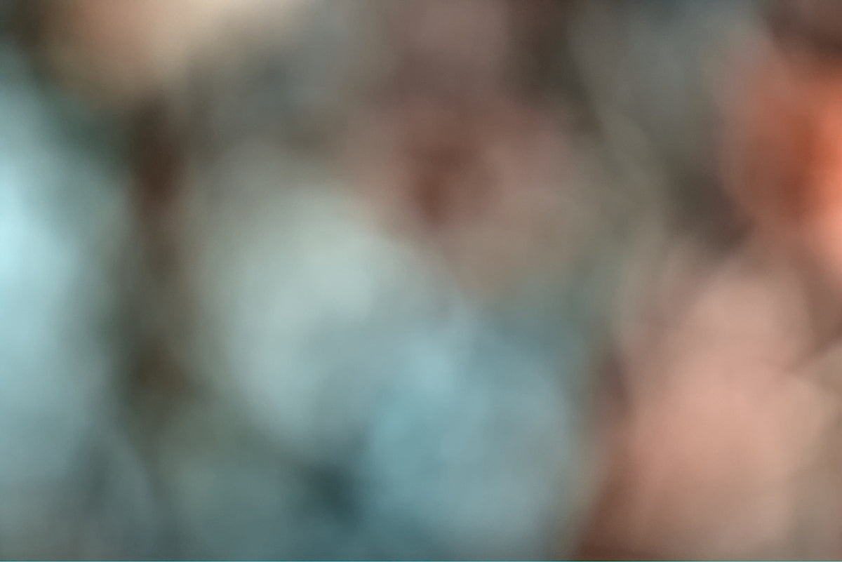 A blurry photo of a bird on a branch