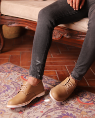 بلوط الصحراء