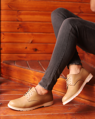 بلوط الصحراء