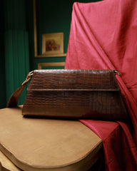 جاذبية - بني